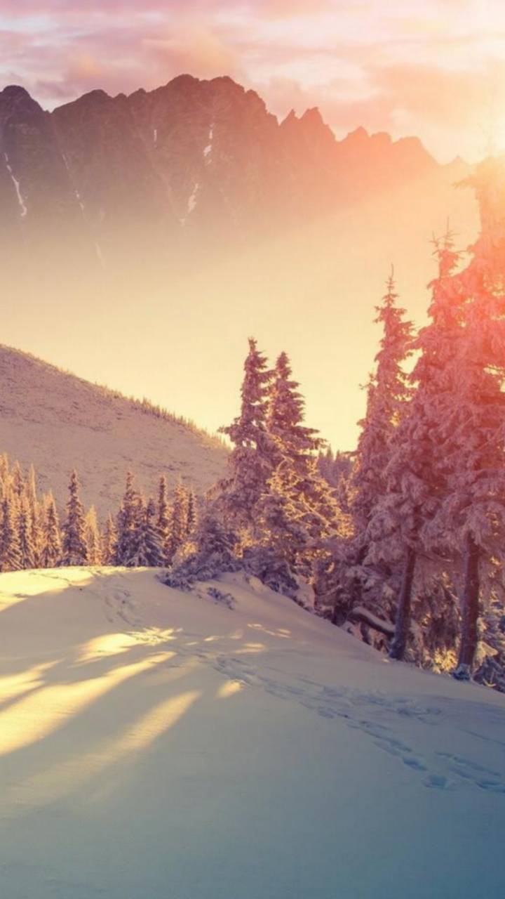 Sunset in winter