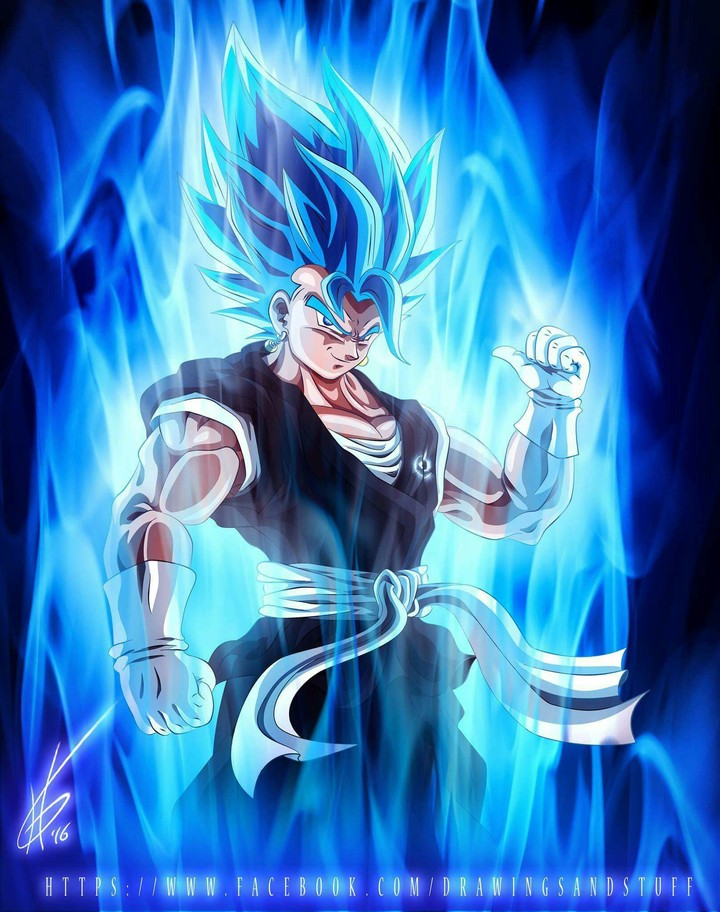 Vegito Dragon Ball Super