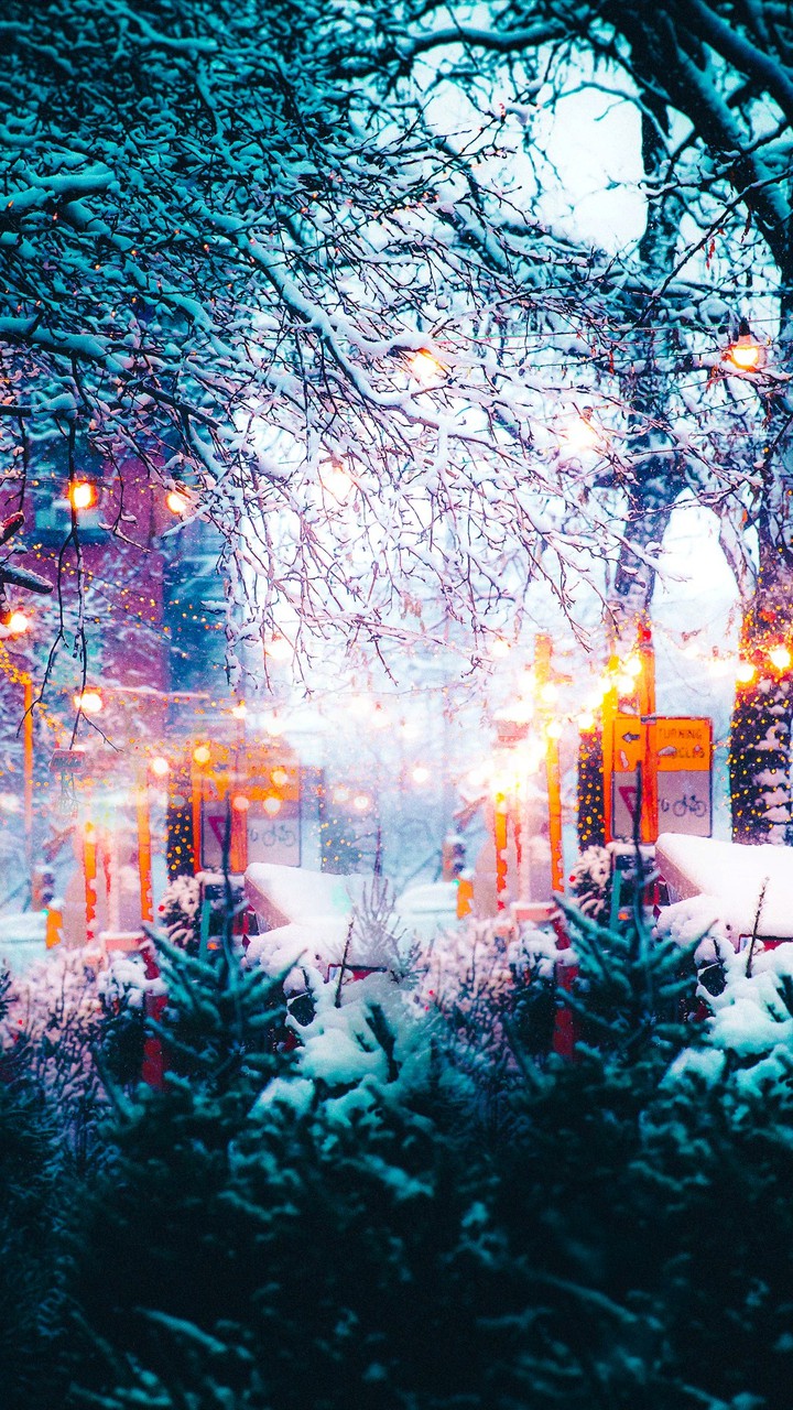 snow