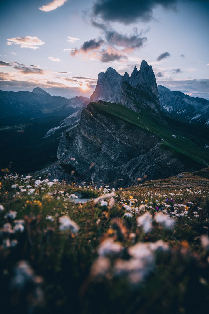 красота