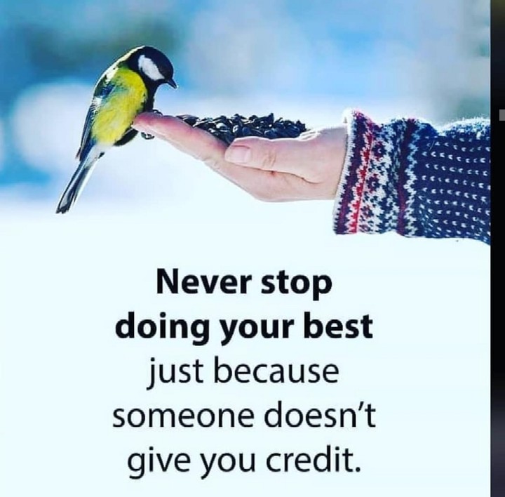 ✍️✍️✍️