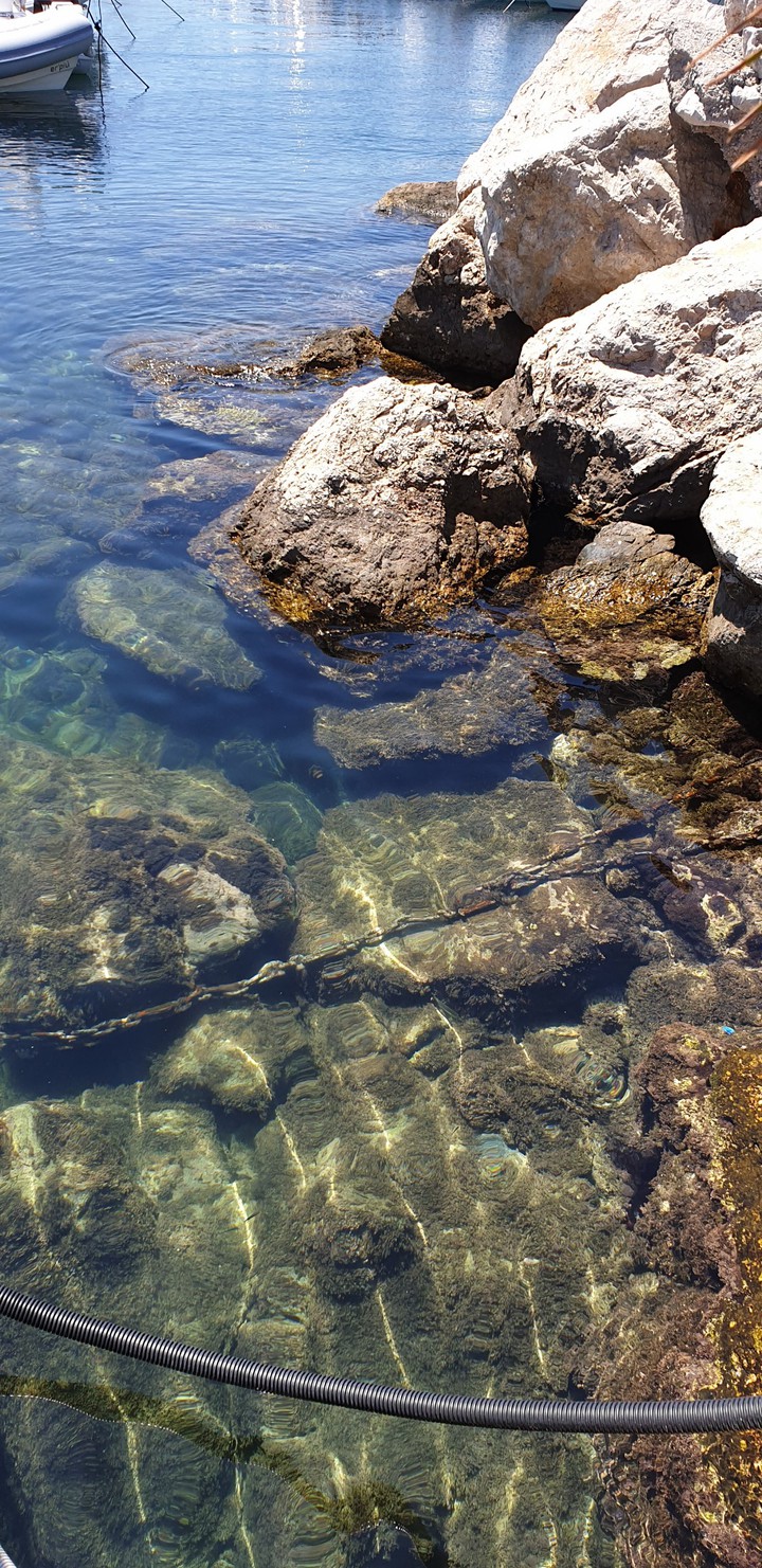 Water