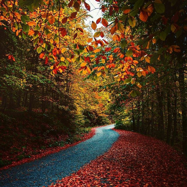 NATURE...