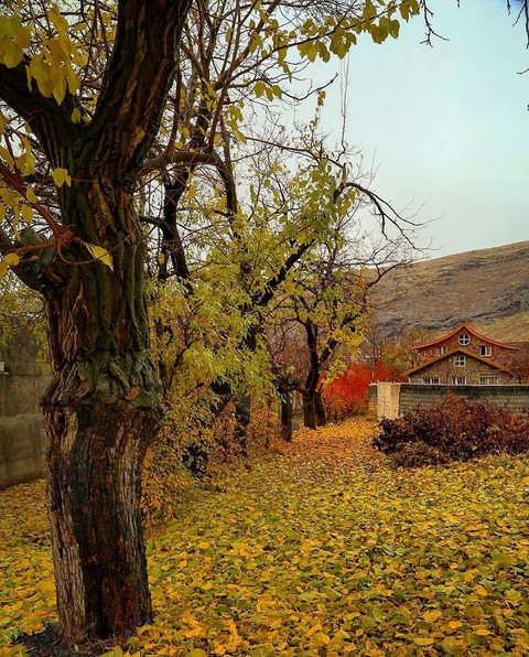 Kondor Village