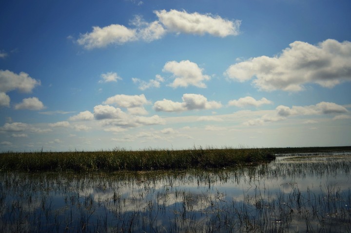 Everglades