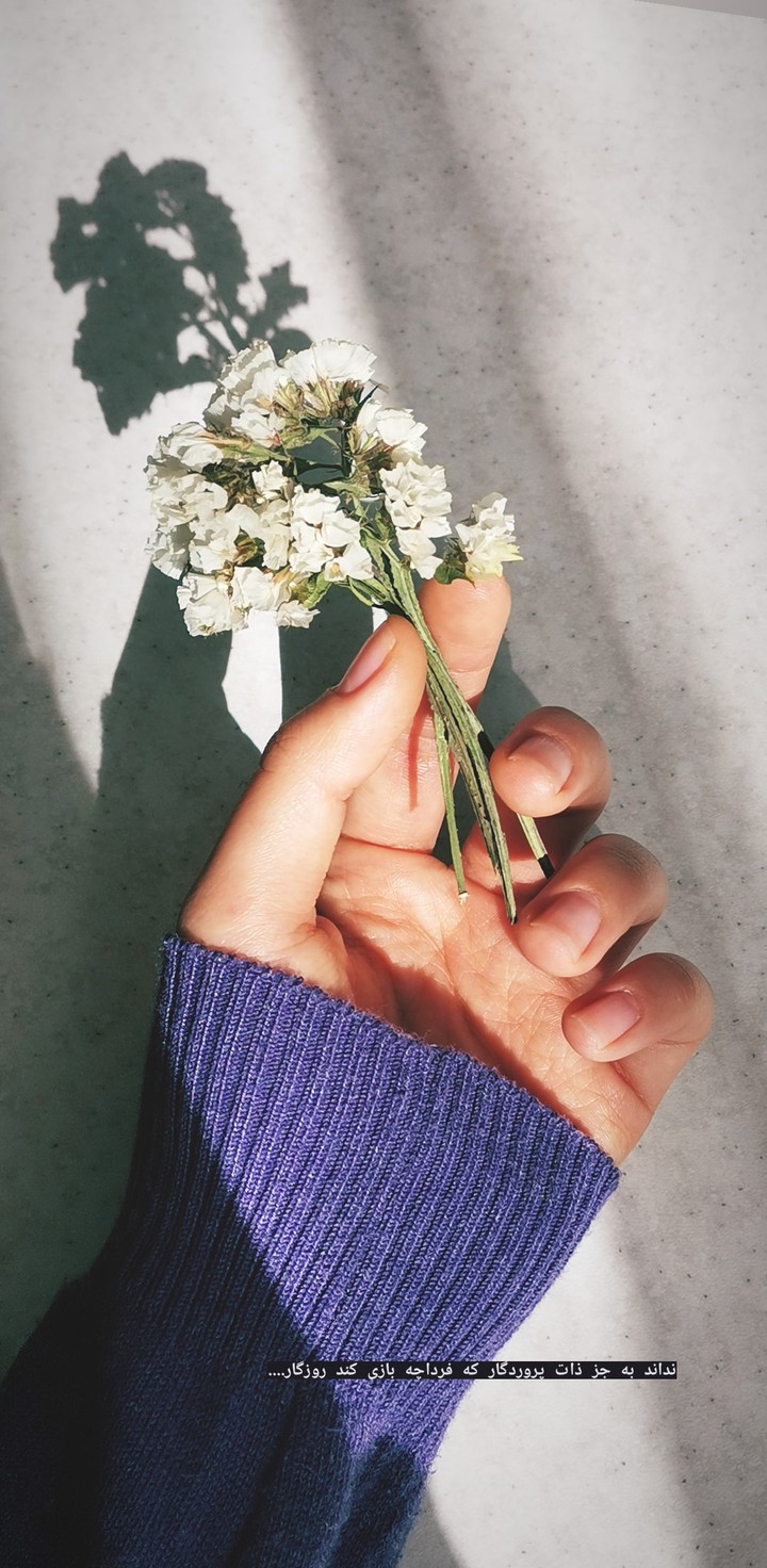 violet mood