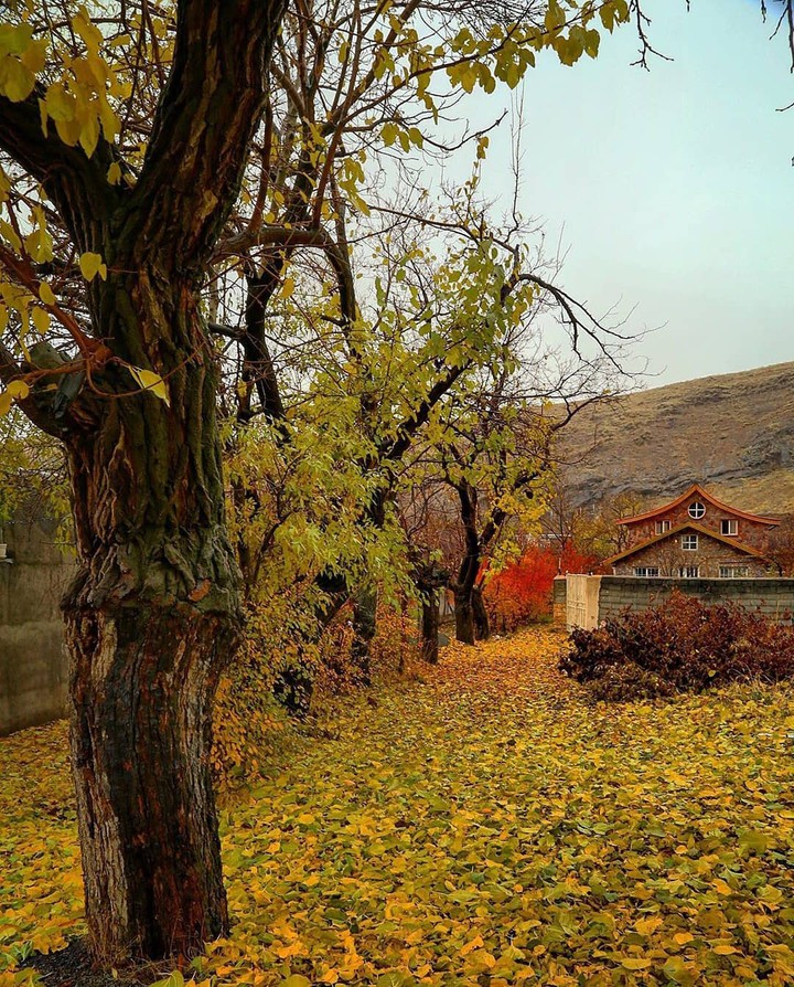 Kondor Village