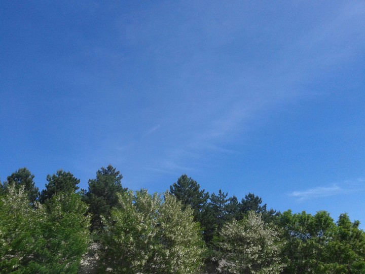 perfect blue