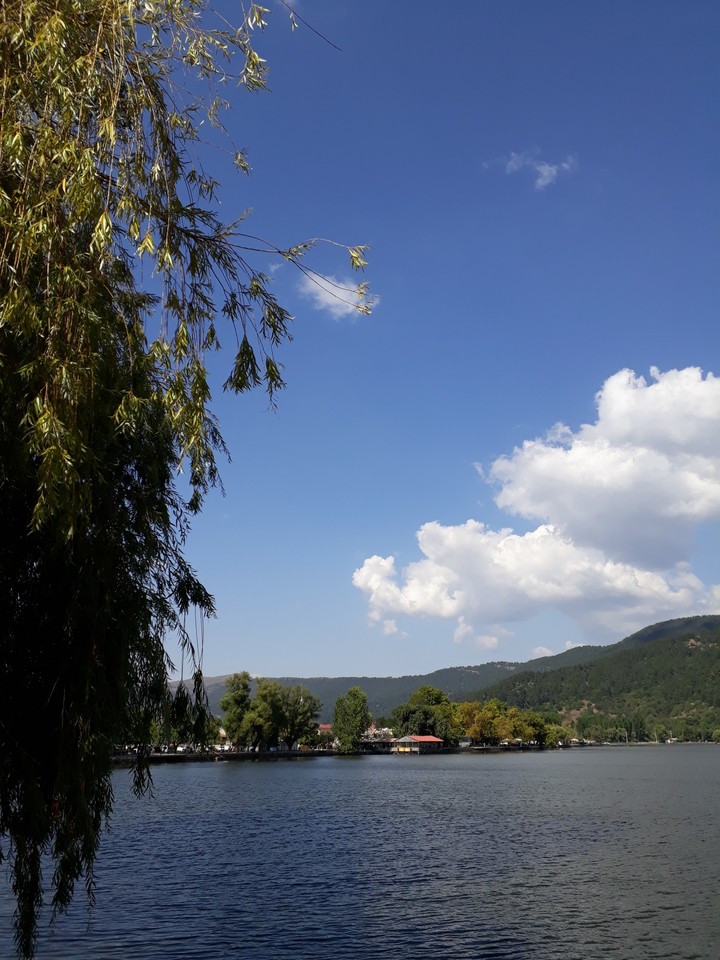 Ödemiş