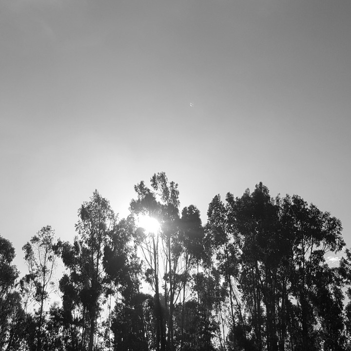 Friday morning