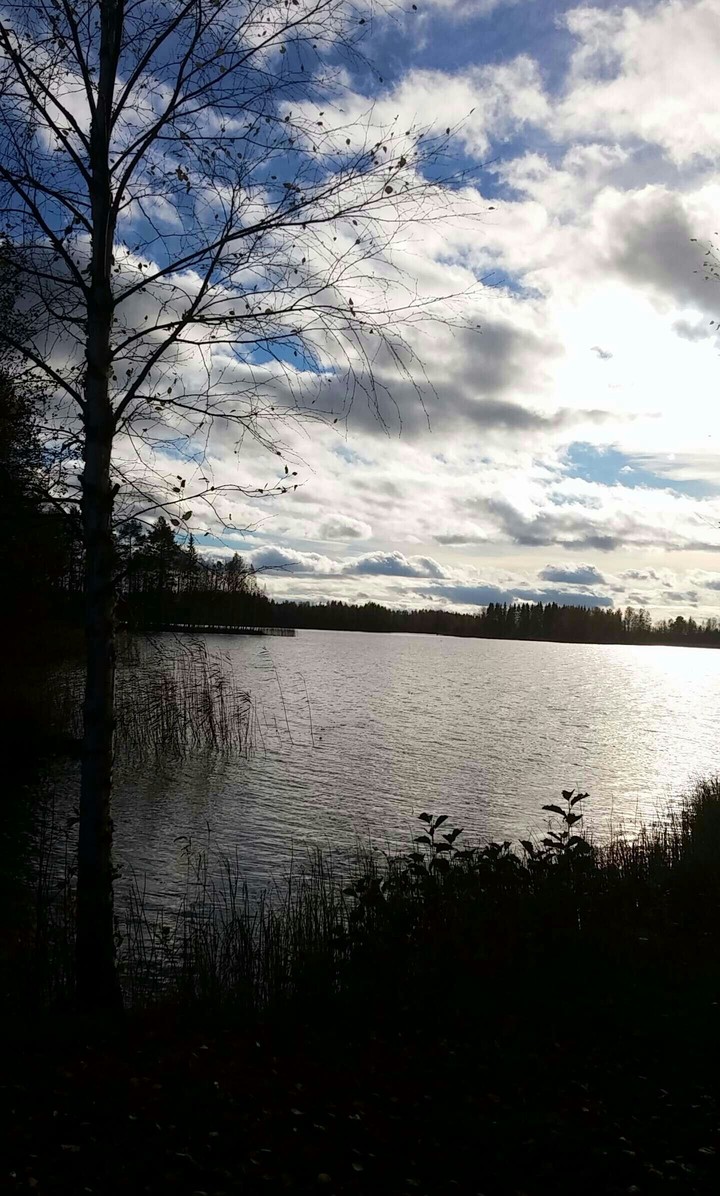 Finnish summer