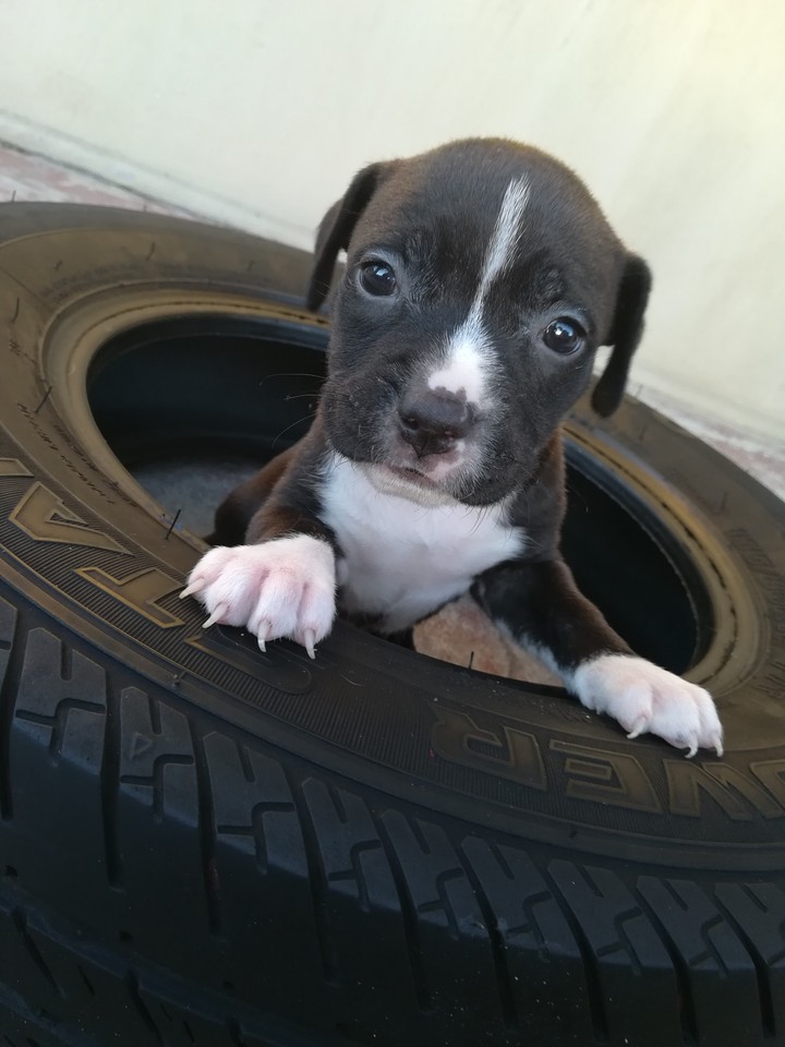 cuteness