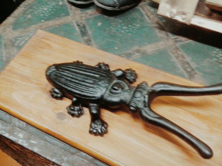 жук