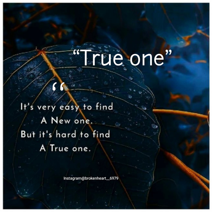 true one. follow me ?❣️ support me