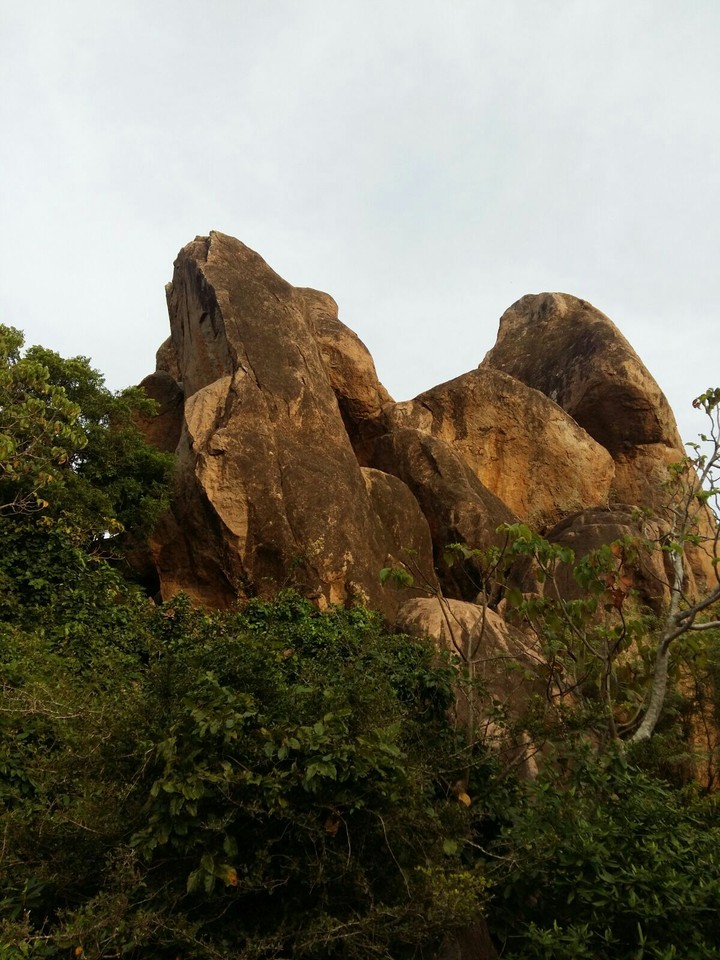 Mountain