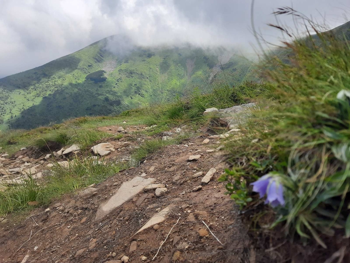 Karpaty