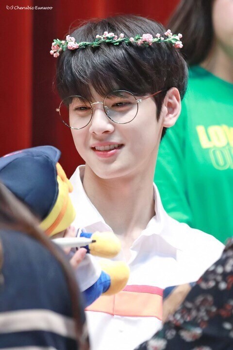 Korean actor ChaEunwoo