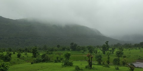 andharban jangle