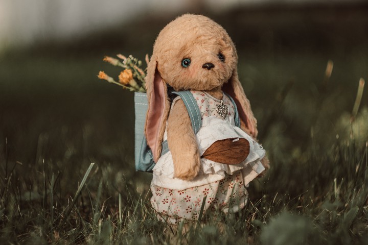 Bunny