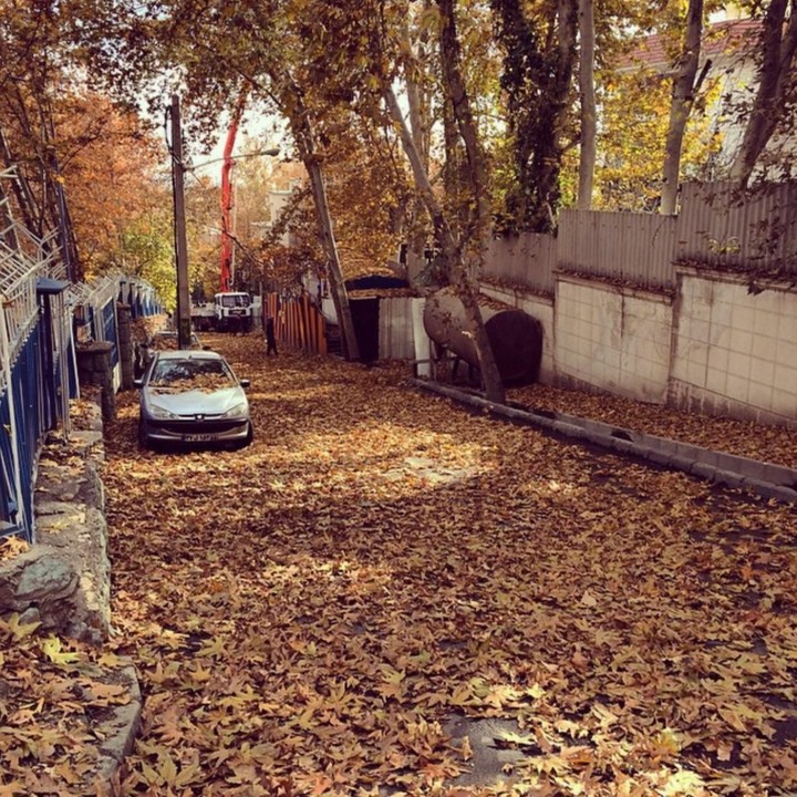 fall!
