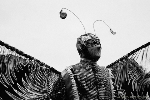 batterfly
