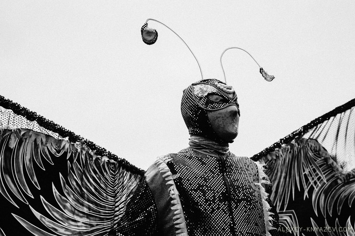 batterfly