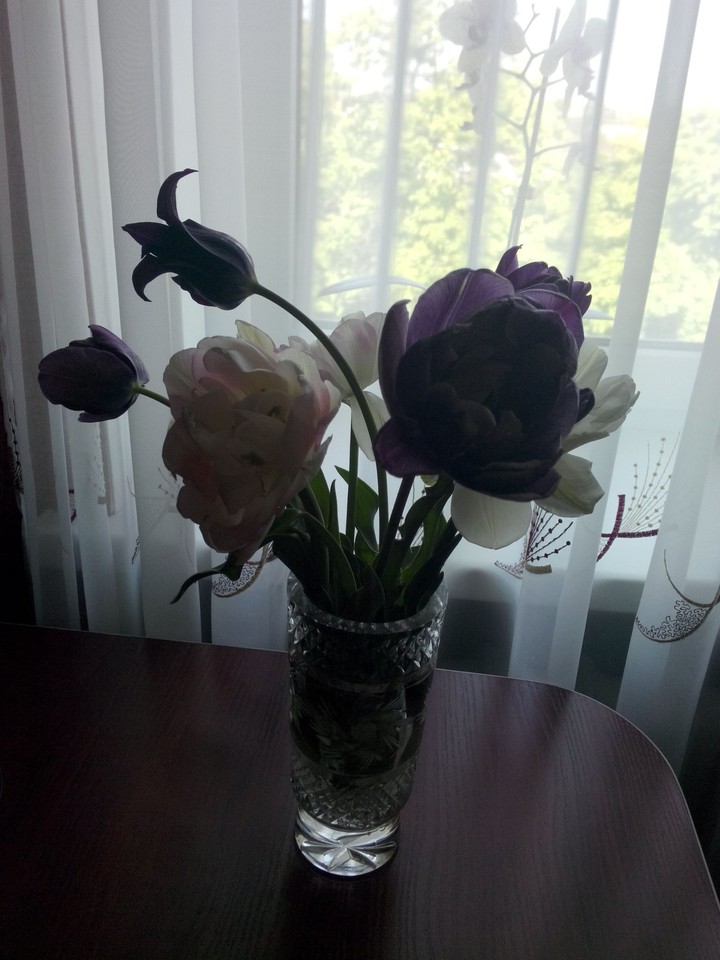bunch of tullips