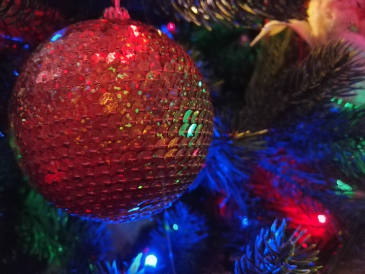 #newyear #christmastree