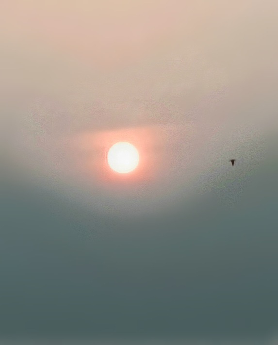 sun set..