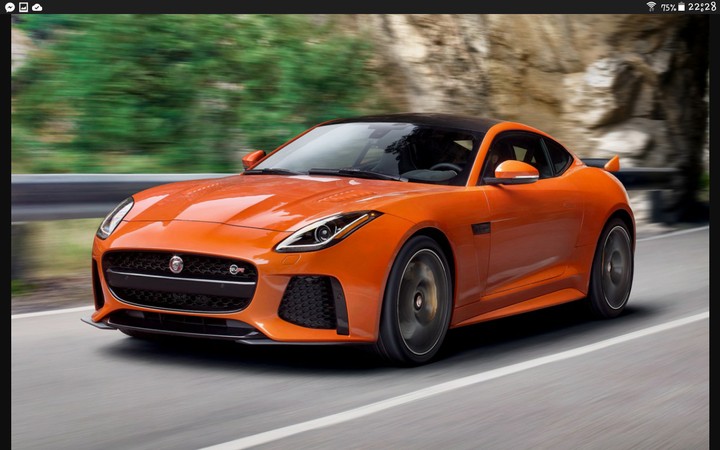 Jaguar ❤