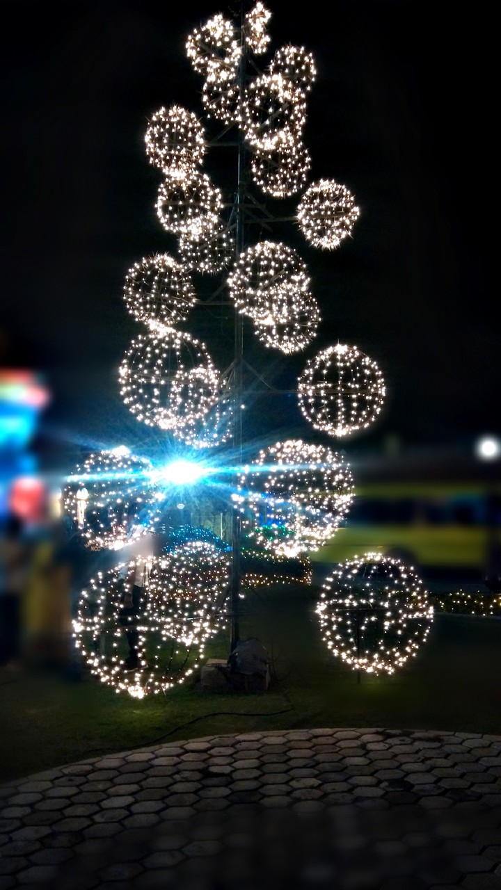 Festivities