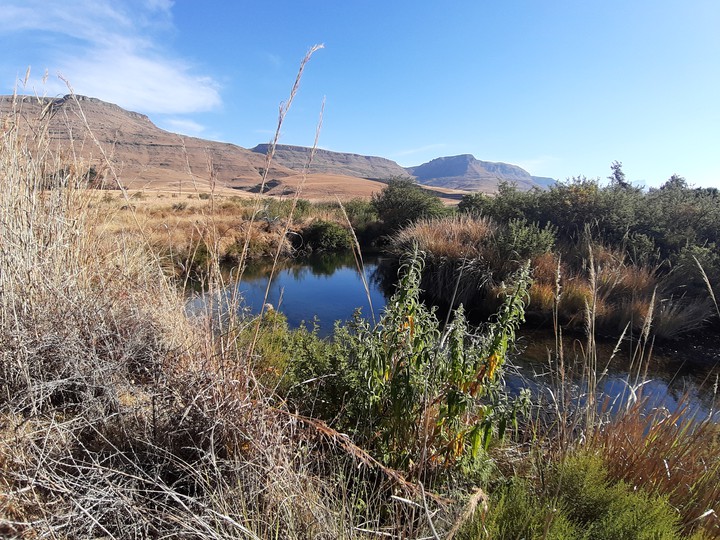 Drakensburg Surroundings