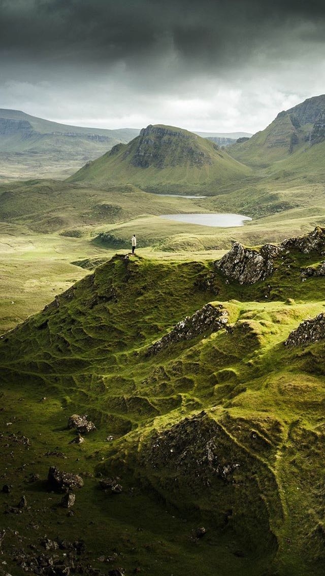 Grassland