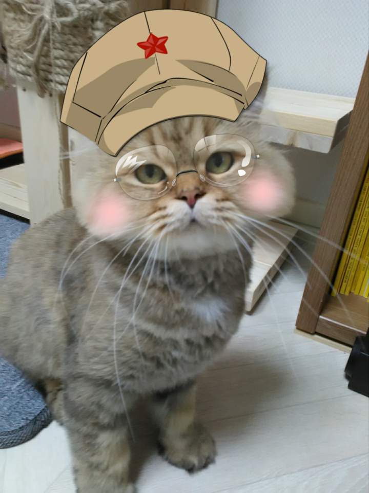 반전의 베르  장화신은고양이(?)