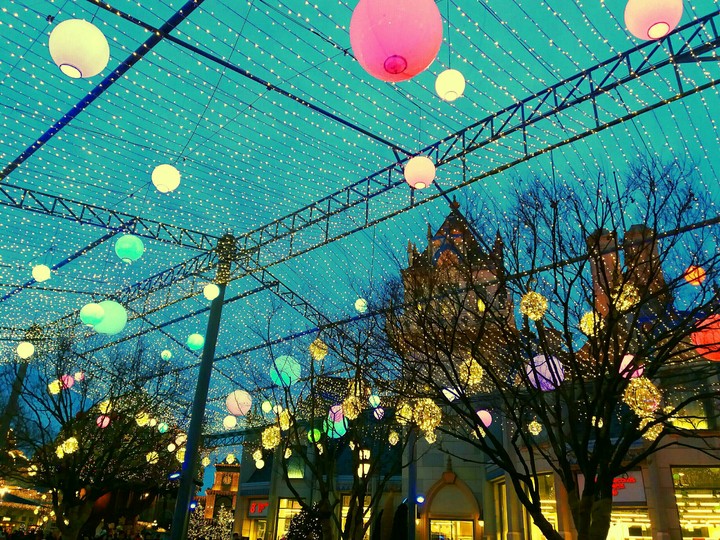 bulbs