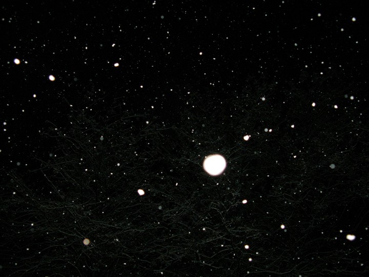 Snowy night