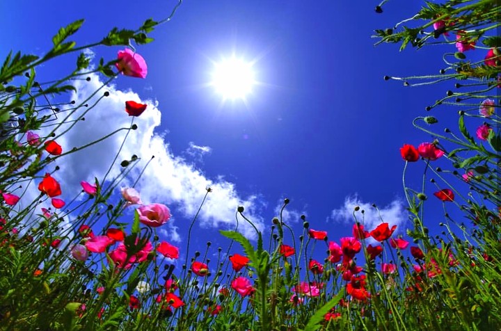 sun