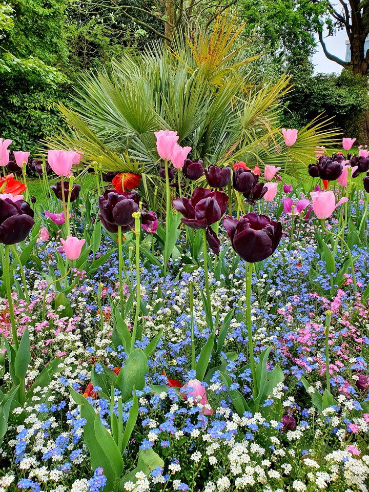 spring