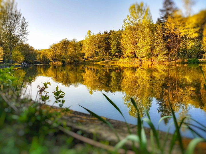 Lake