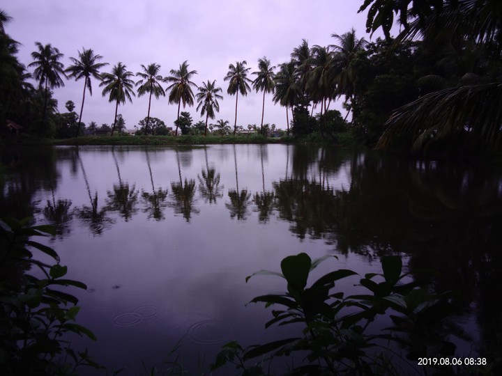 nature