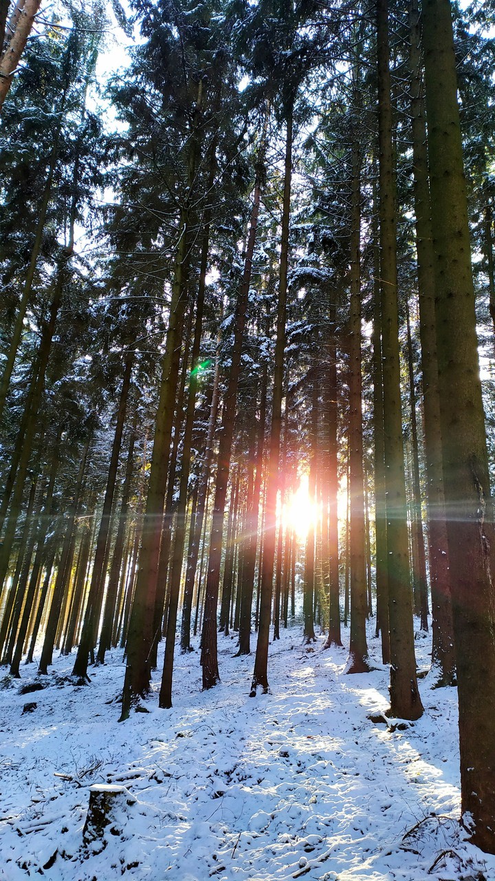 winter