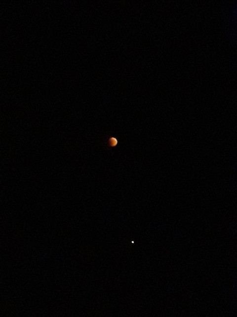 moon eclipse