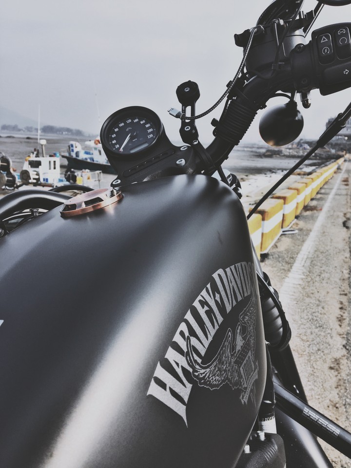 iron883