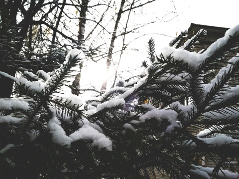 snow