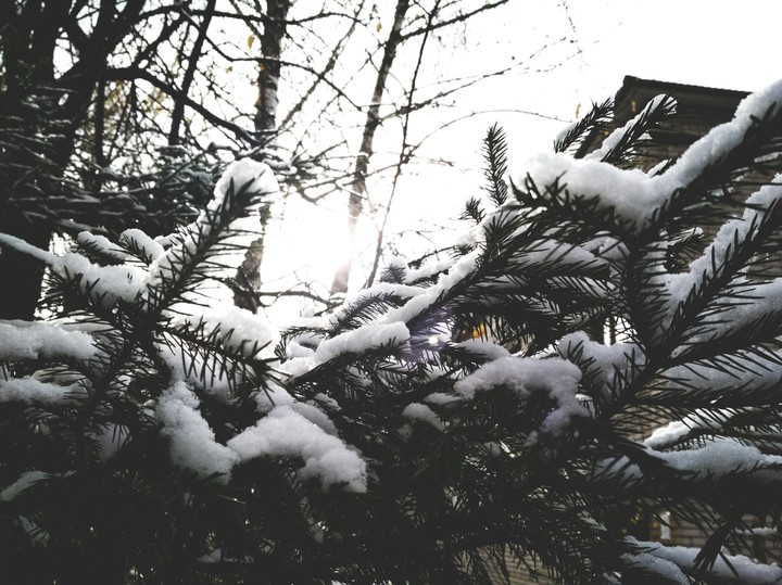 snow