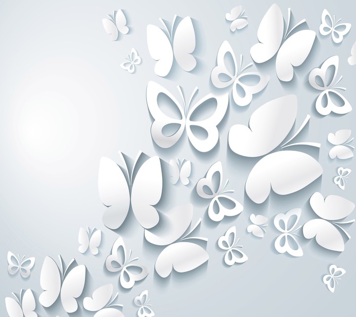 White butterfly design