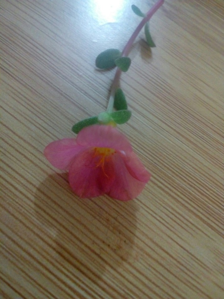 isn't it cute ?