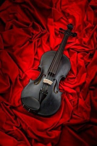 Violin