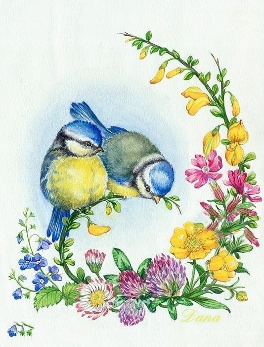 spring