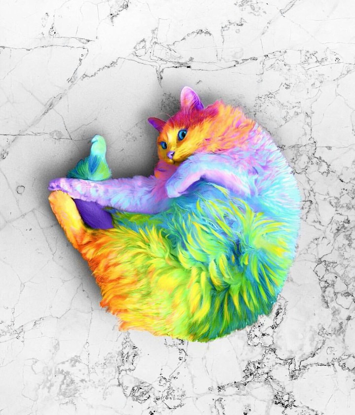 Радужные кот